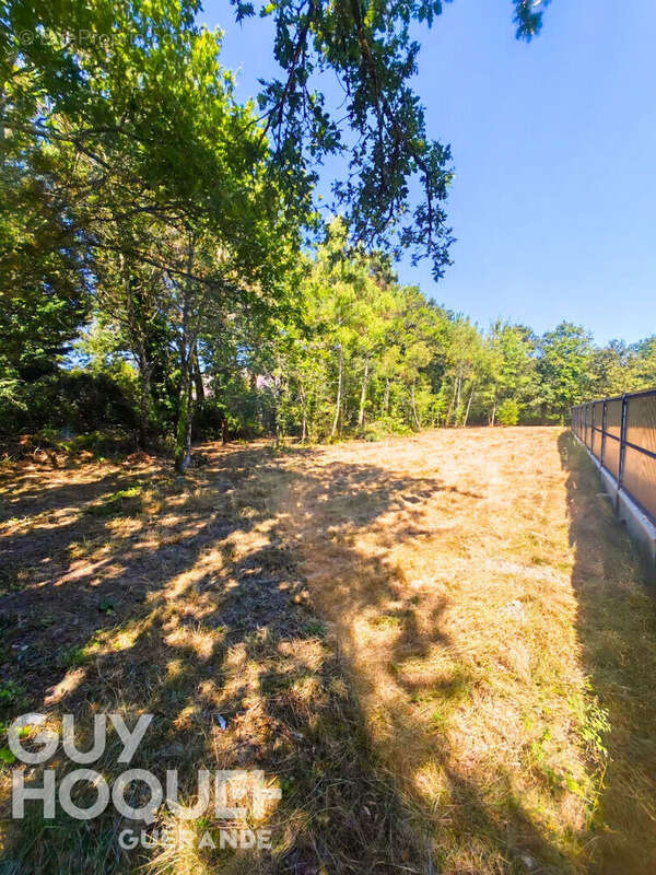 A vendre - Terrain de 1169 m² à FEREL - photo 2
