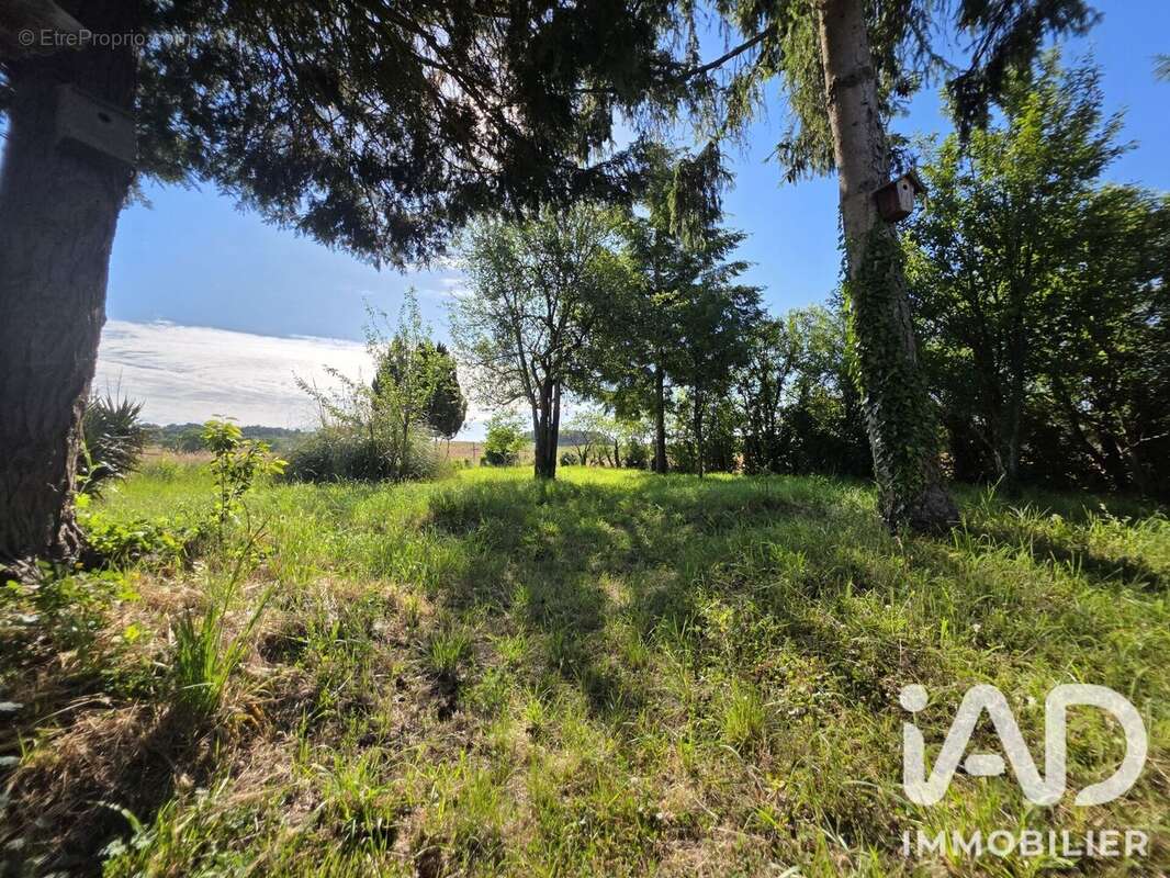 Maison 79 m² à Lavare  - photo 3