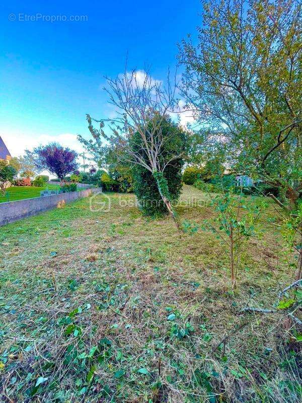 Terrain à PLOMODIERN