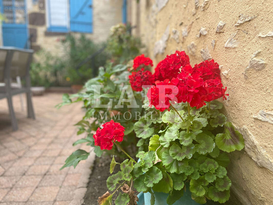 Maison à FRESNAY-SUR-SARTHE
