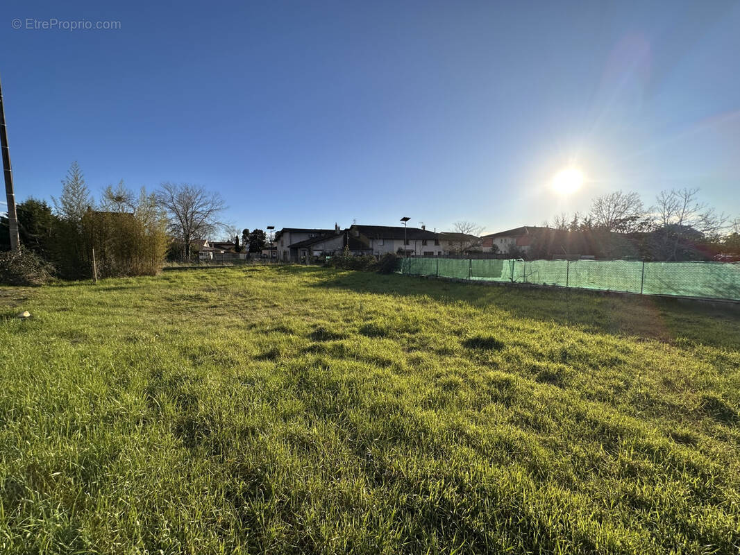 Terrain à SAINT-JORY