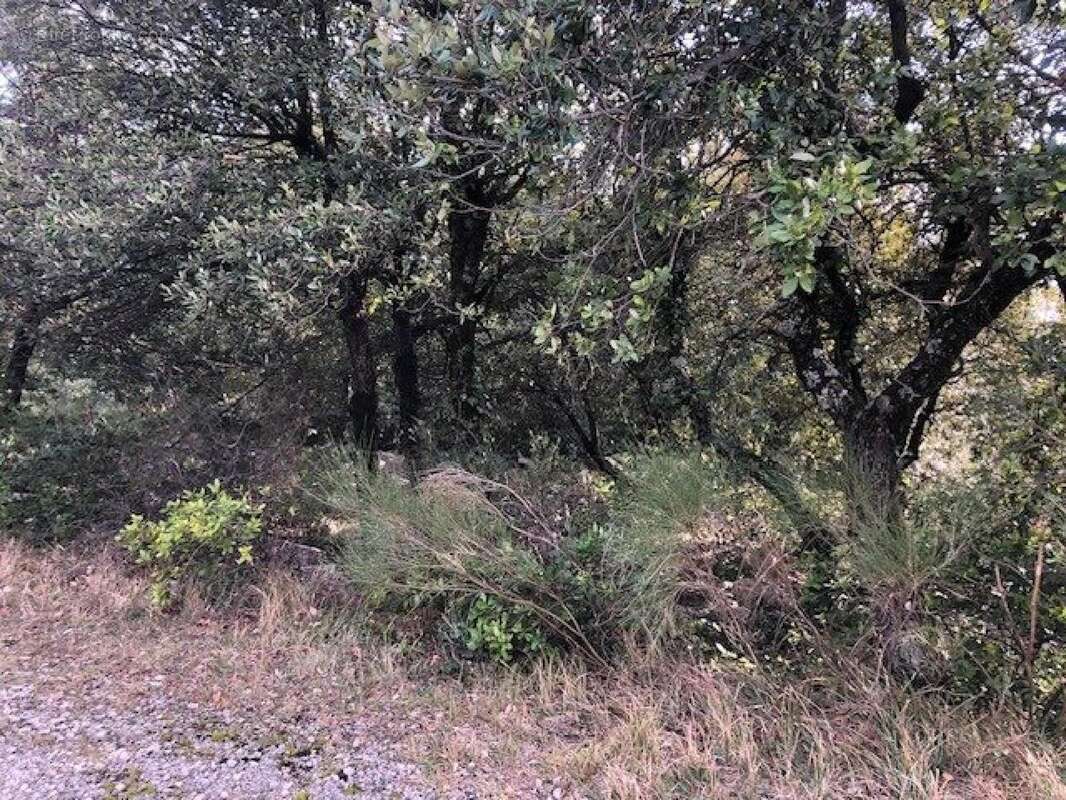 Photo 4 - Terrain à MONS