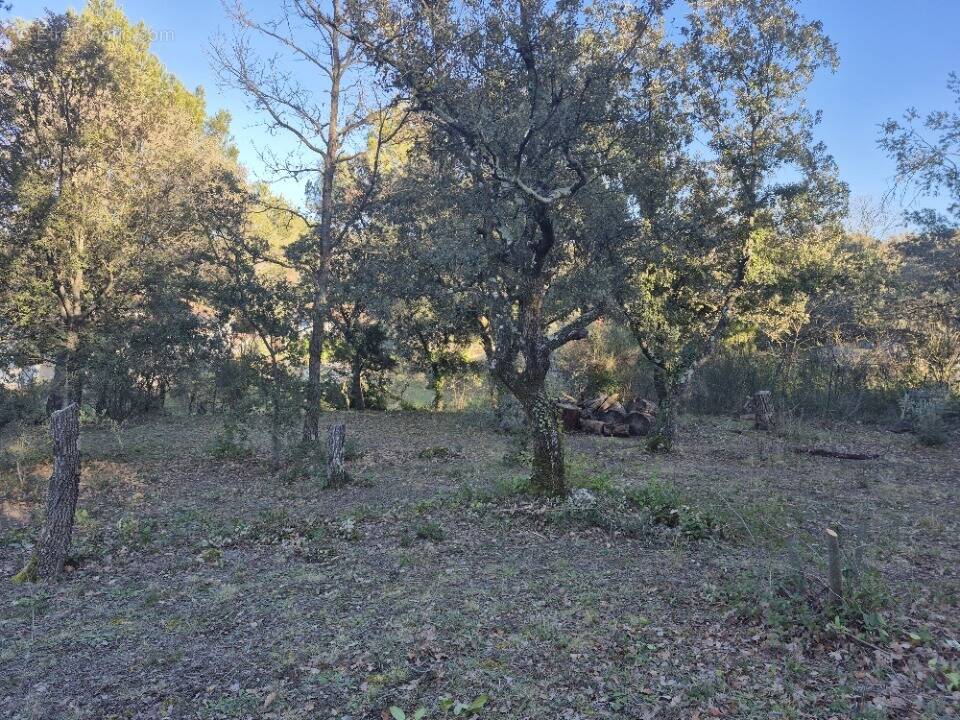 Terrain à SAINT-MAXIMIN-LA-SAINTE-BAUME