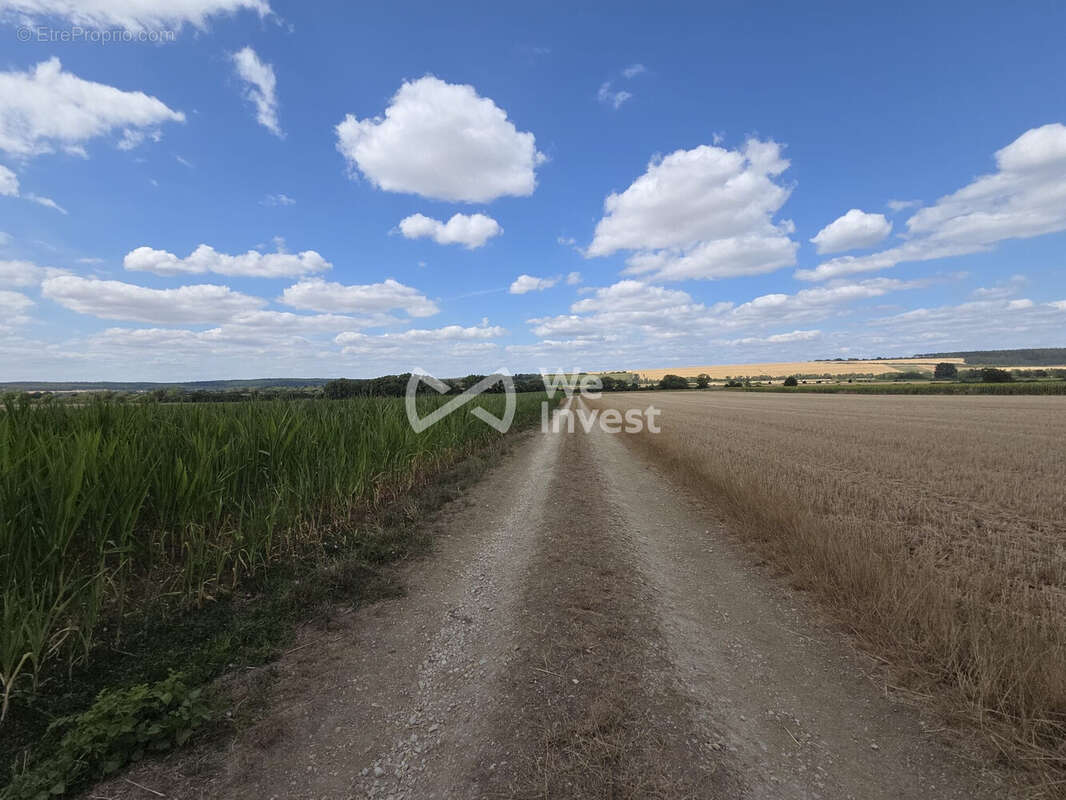 Terrain 5 510 m² à vendre à Charny-Sur-Meuse (55100) - photo 4