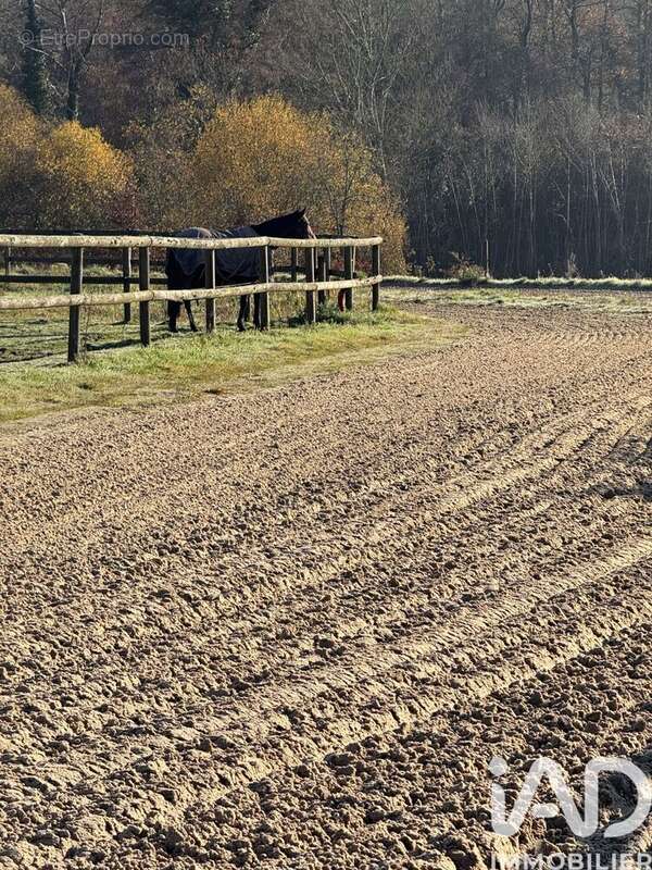 Photo 6 - Maison à CREON-D'ARMAGNAC