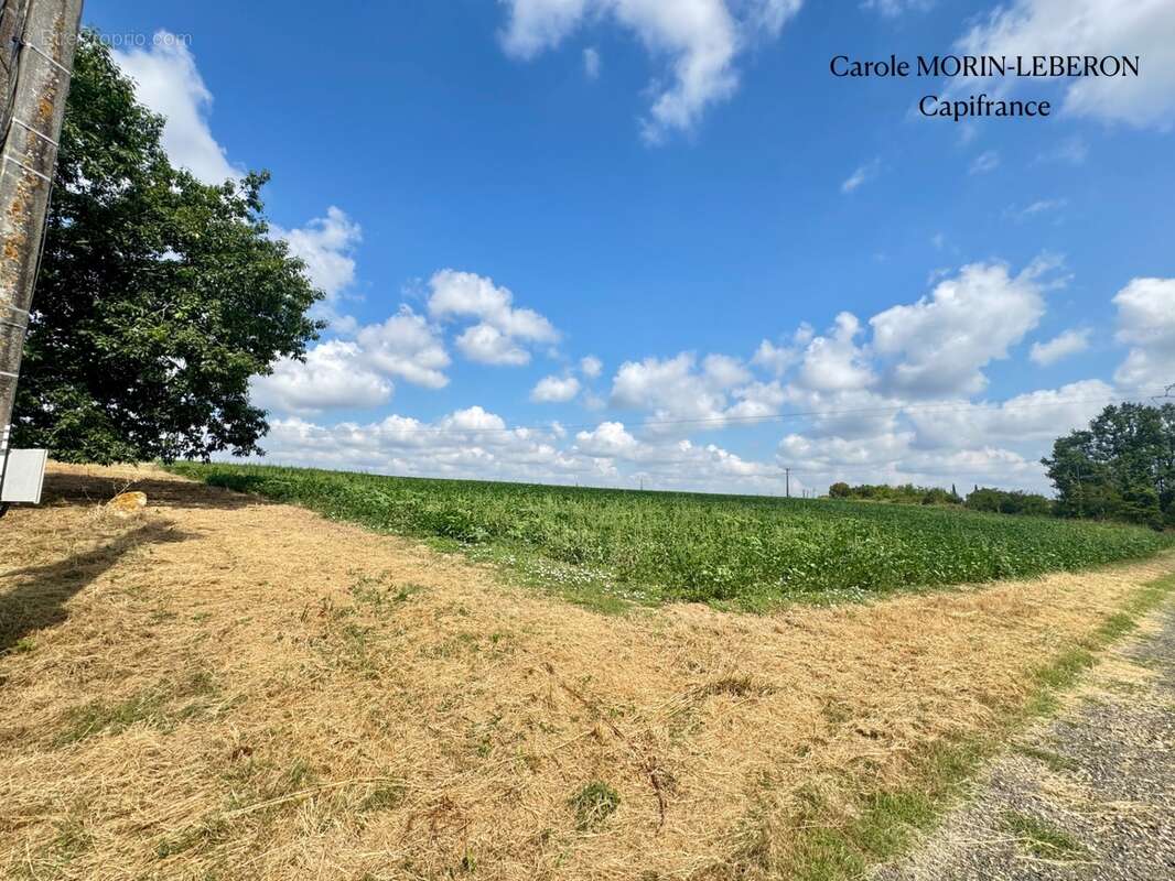 Girondine avec plus de 7 hectares et vue exceptionnelle - photo 14