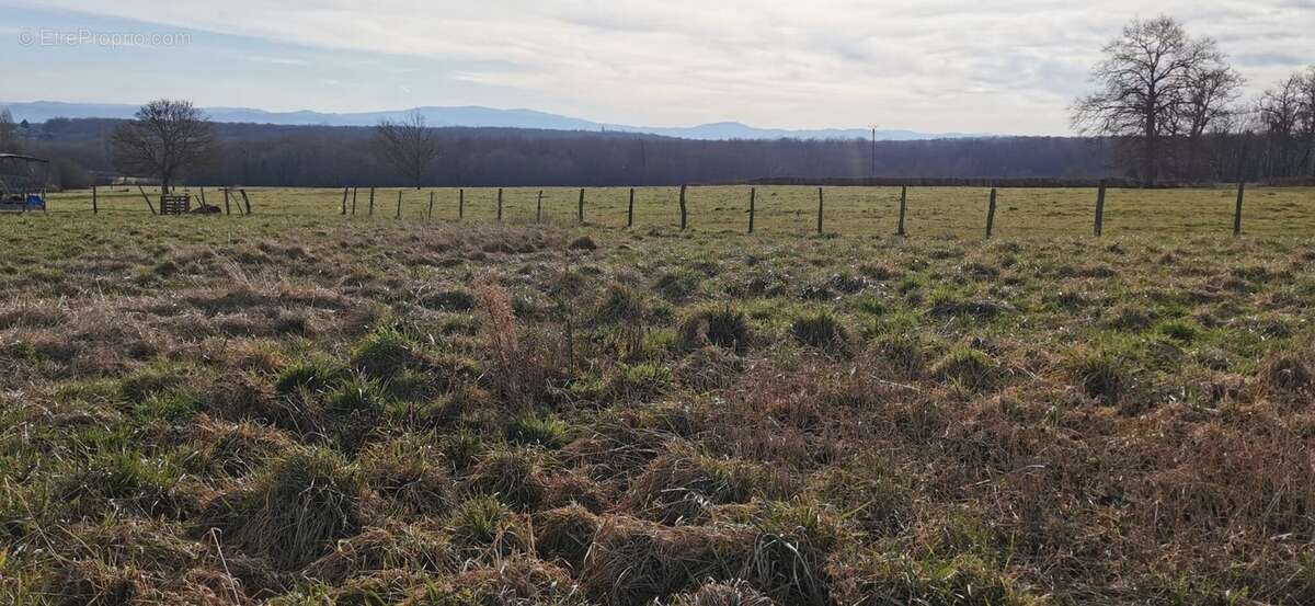 Terrain à SAINT-SYLVESTRE-PRAGOULIN