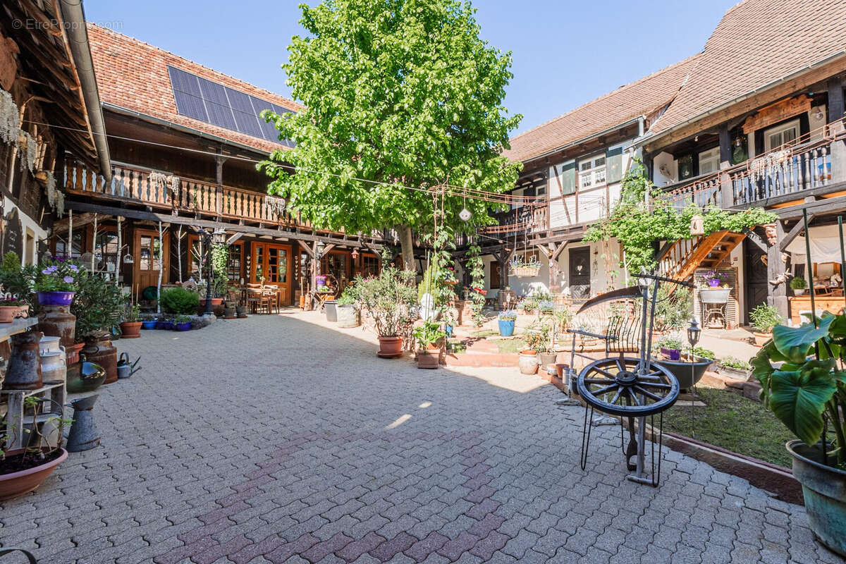 Maison 444 m² à Furchhausen  - photo 2