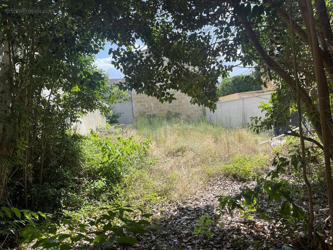 Appartement 500 m² à Bordeaux  - photo 4
