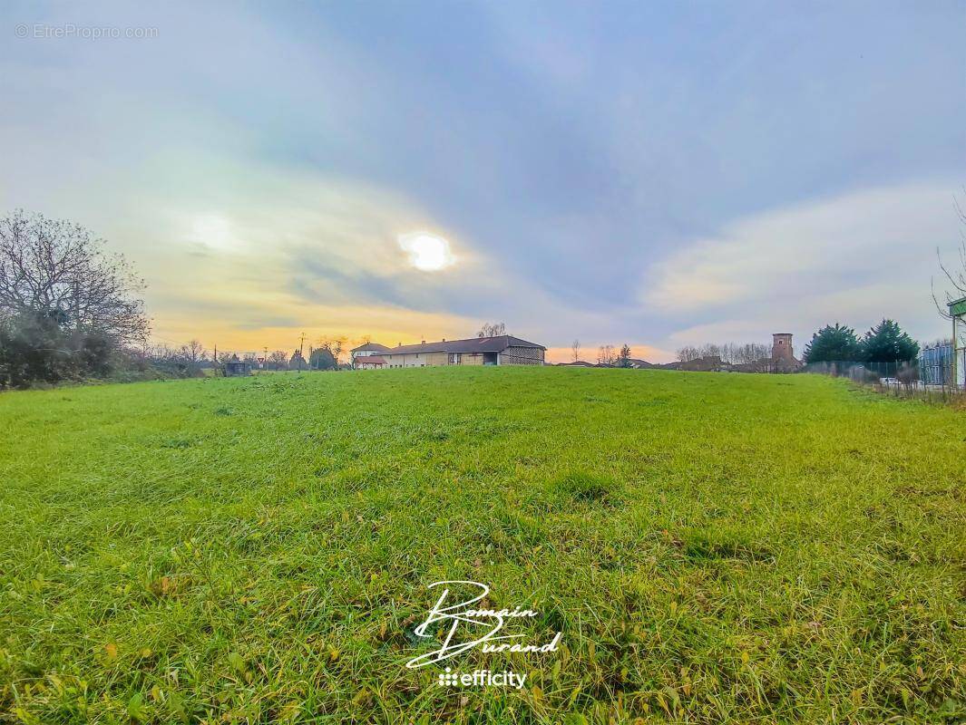 Terrain à SAINT-TRIVIER-DE-COURTES