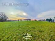 Terrain à SAINT-TRIVIER-DE-COURTES