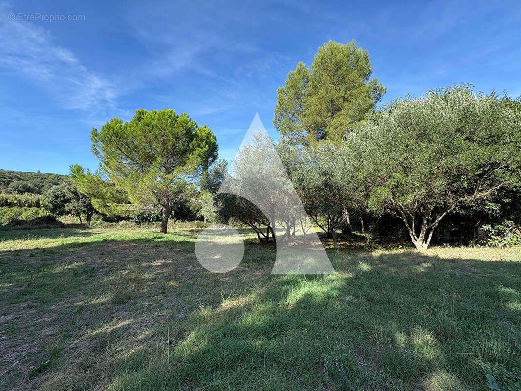 Terrain à LE POUGET