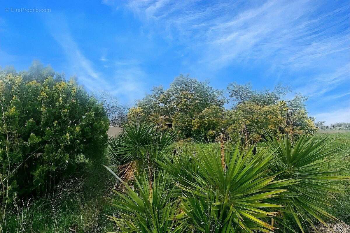 Photo 2 - Maison à BEZIERS