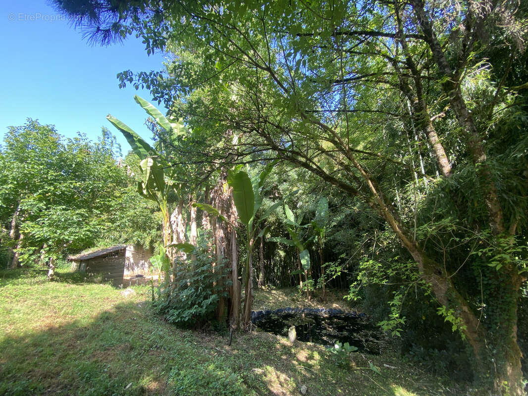 Maison à SAUVETERRE-DE-GUYENNE