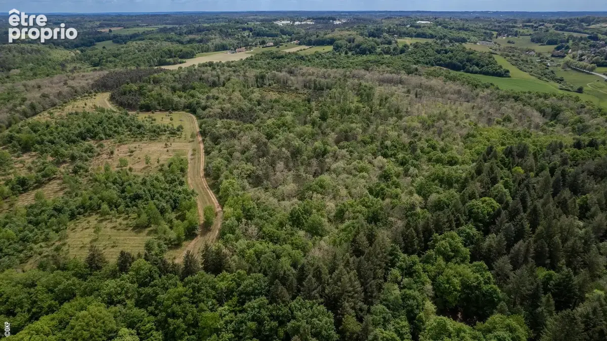 Domaine d'exception sur 100 hectares de forêt privée et bâtis en pierre. Vidéo sur demande - photo 6