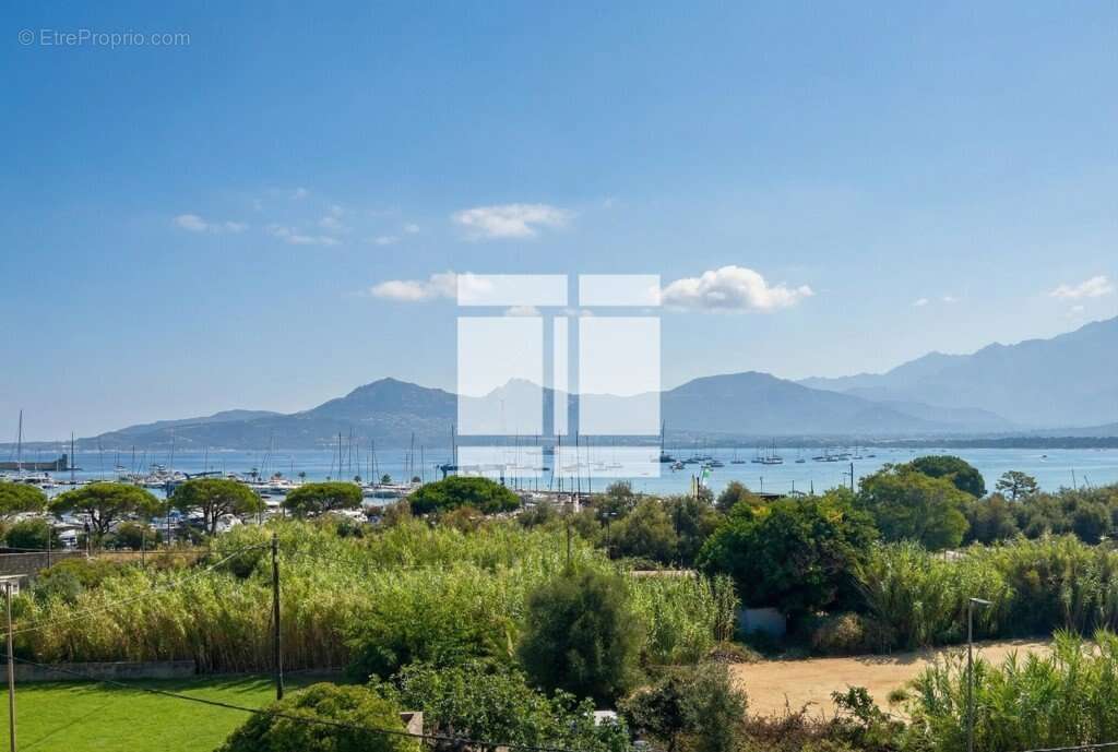 Appartement à CALVI