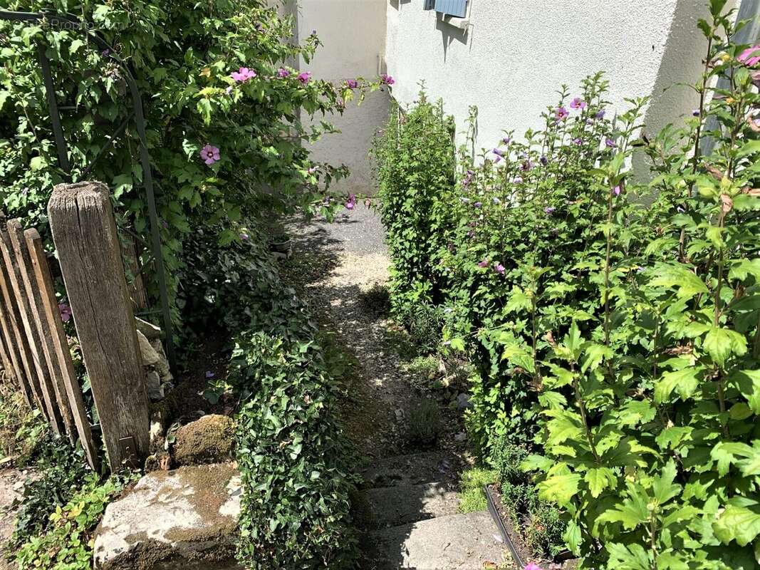 Maison à TERRASSON-LAVILLEDIEU