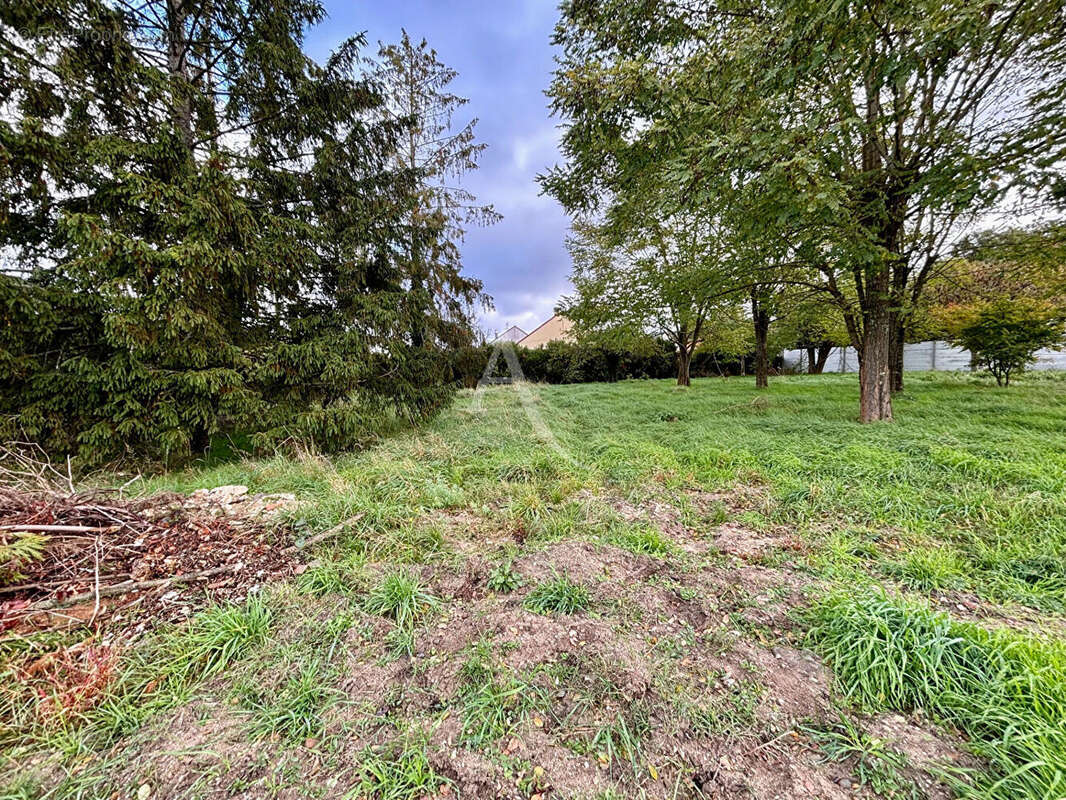 Terrain à CELLETTES