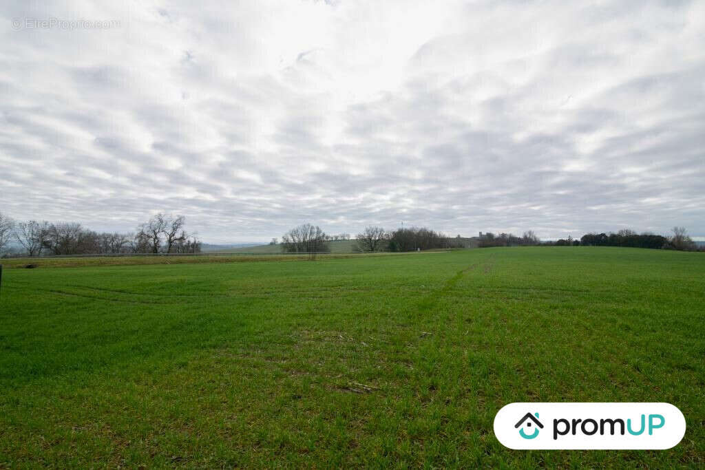 Terrain à SEMPESSERRE