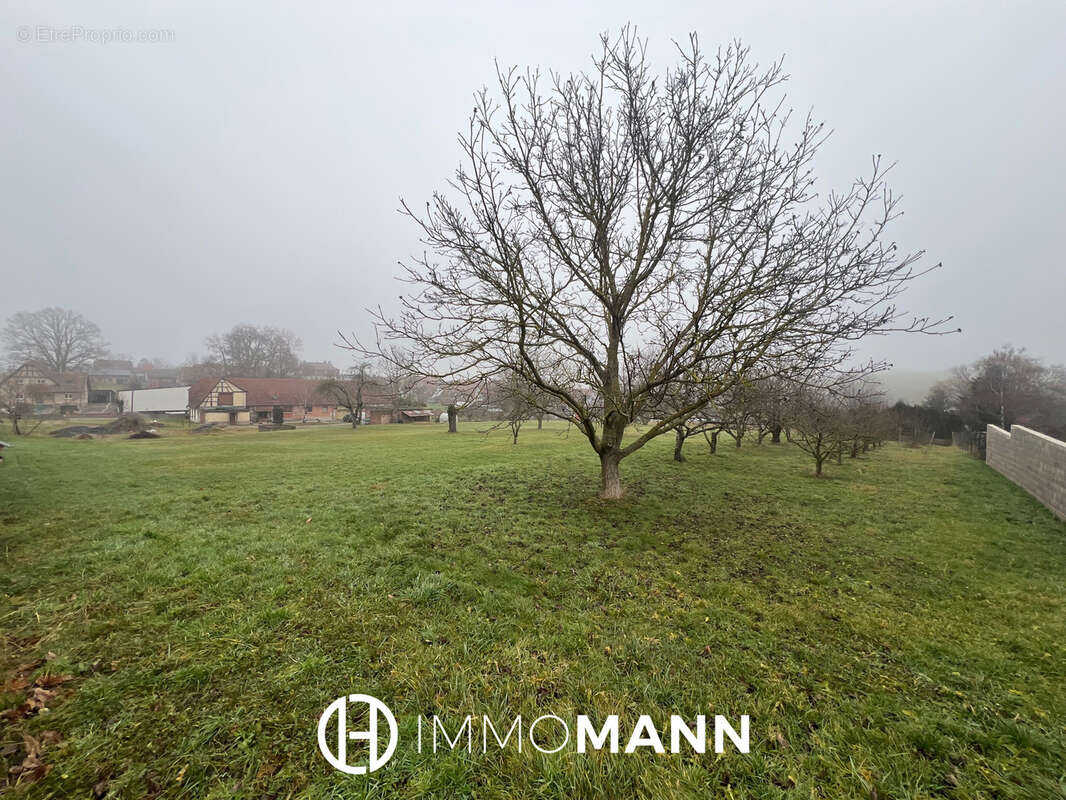 Terrain à MULHAUSEN