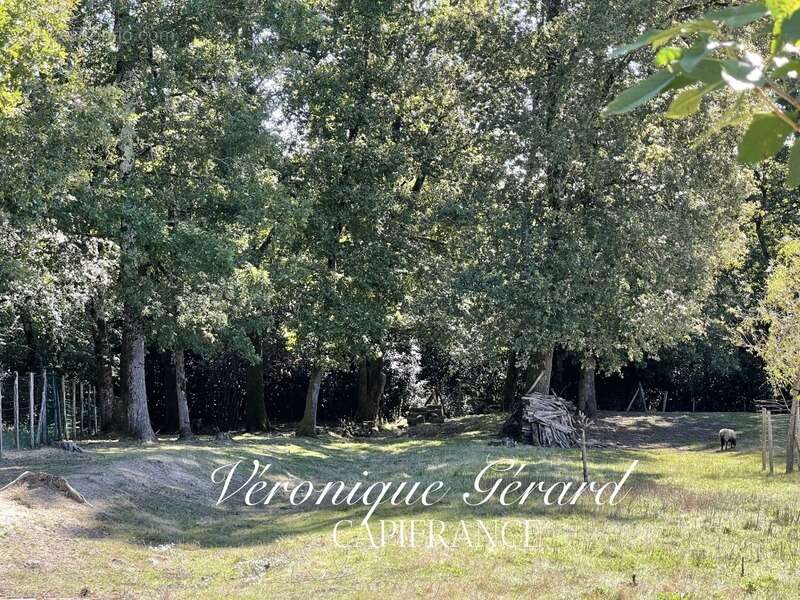 Maison à ORIGNOLLES