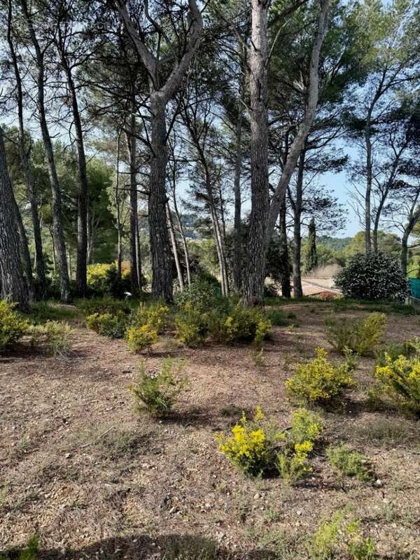 Terrain 1445 m² à Ventabren  - photo 2
