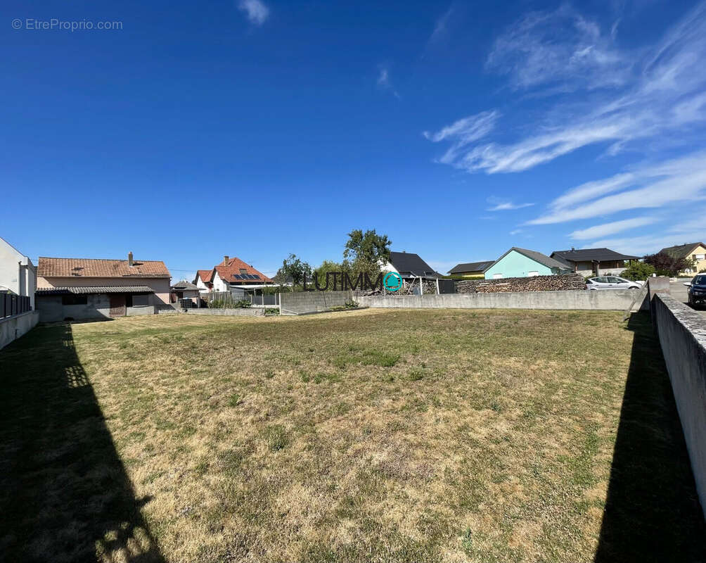 Terrain à HIRTZFELDEN