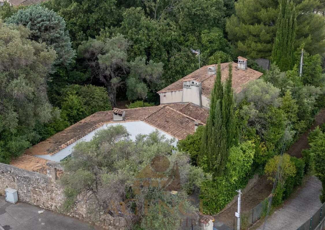Maison à ANTIBES