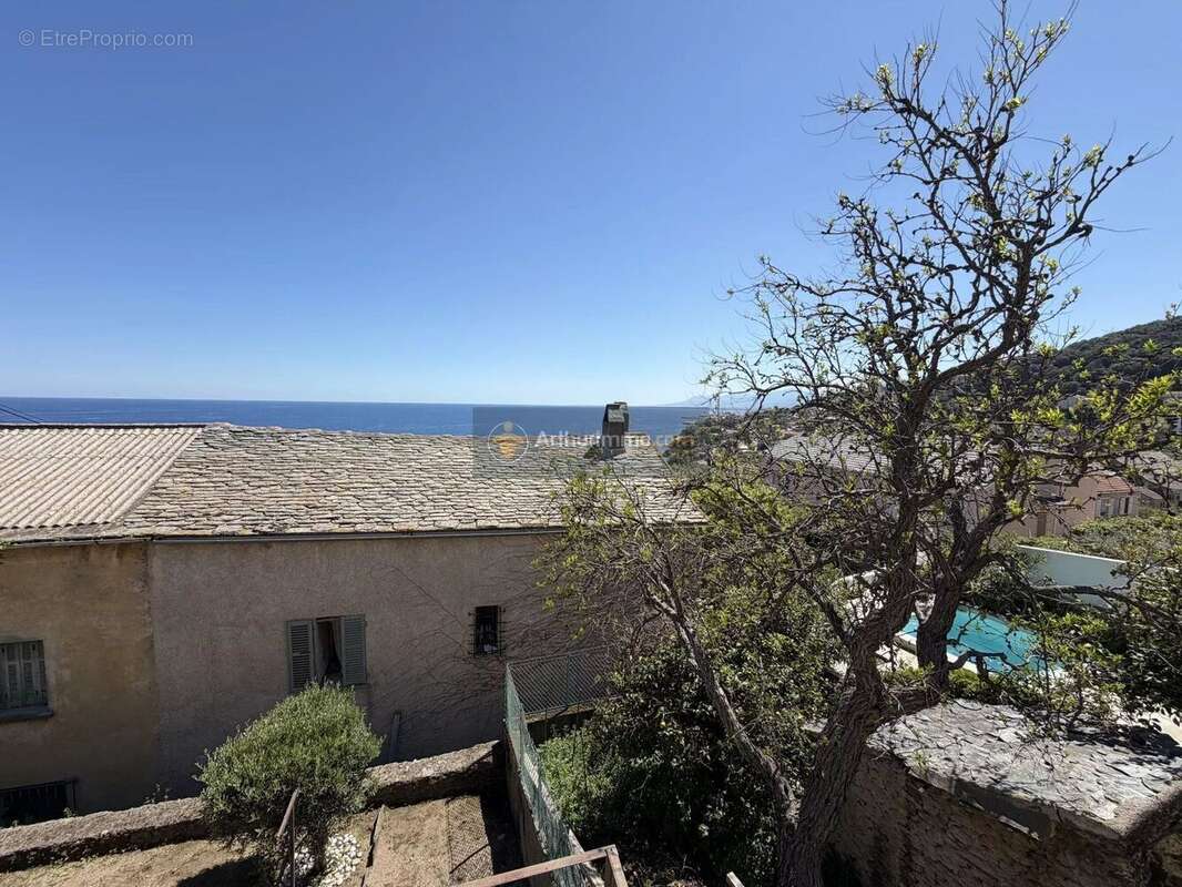 Appartement à SAN-MARTINO-DI-LOTA