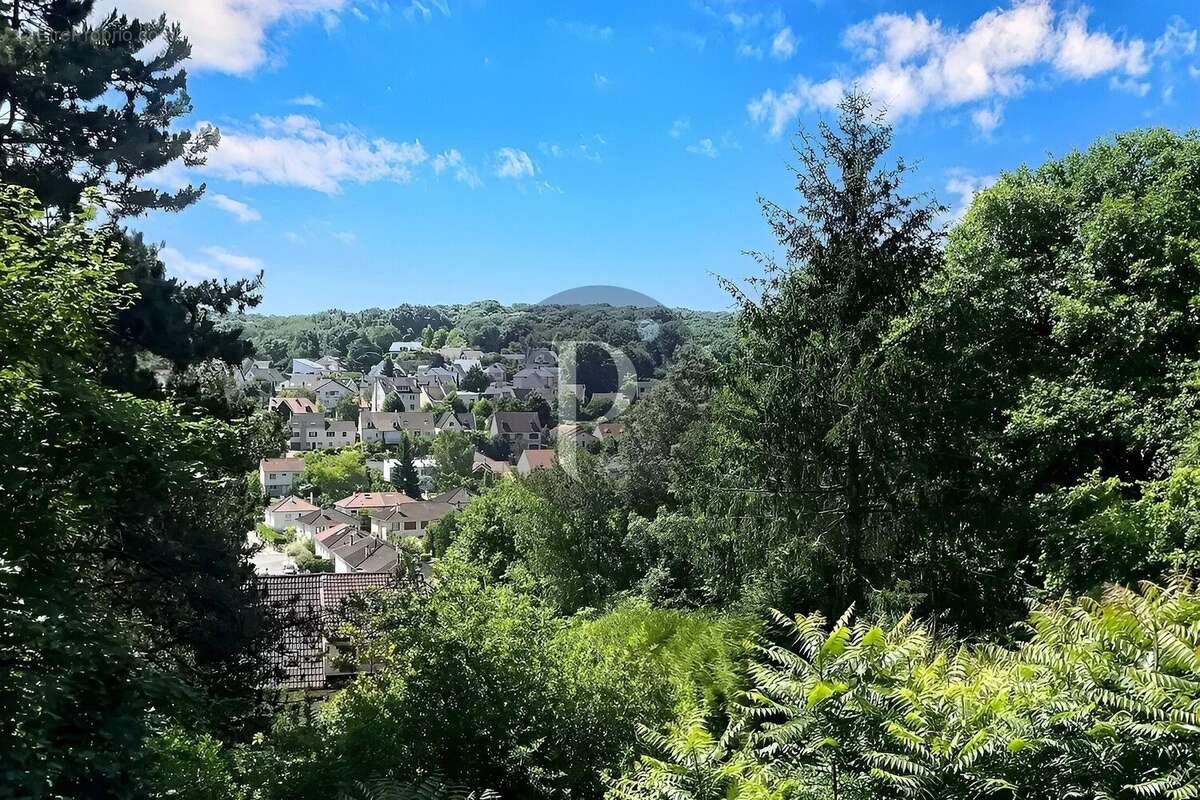 VAUHALLAN – Propriété 7 pièces – Réception 100 m² - Vue dominante – Terrain boisé 4726 m² - photo 2