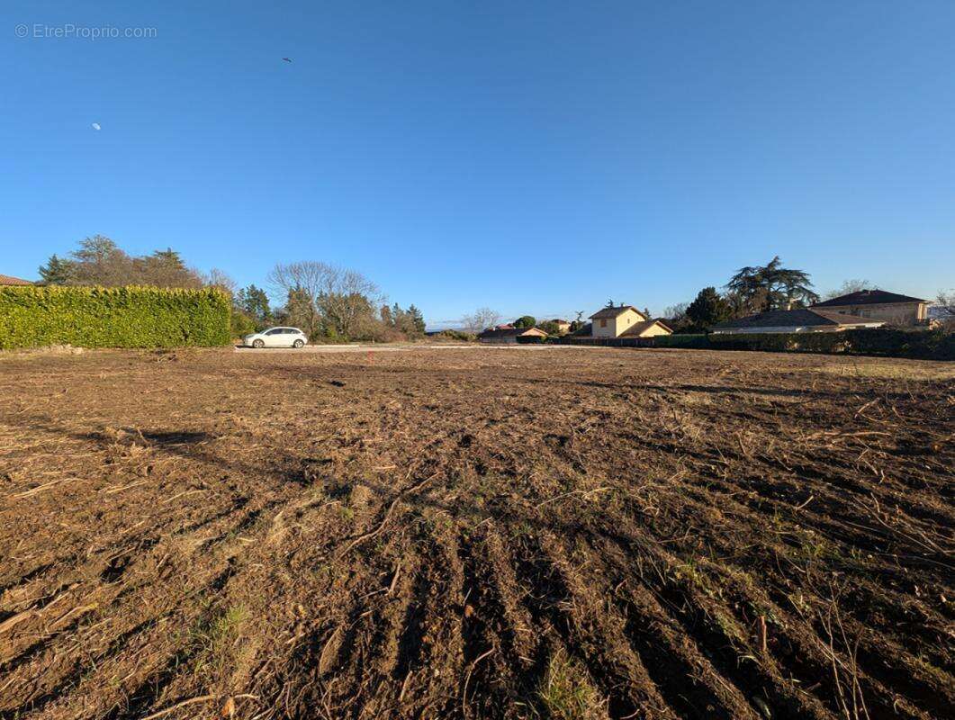 Terrain à ANJOU