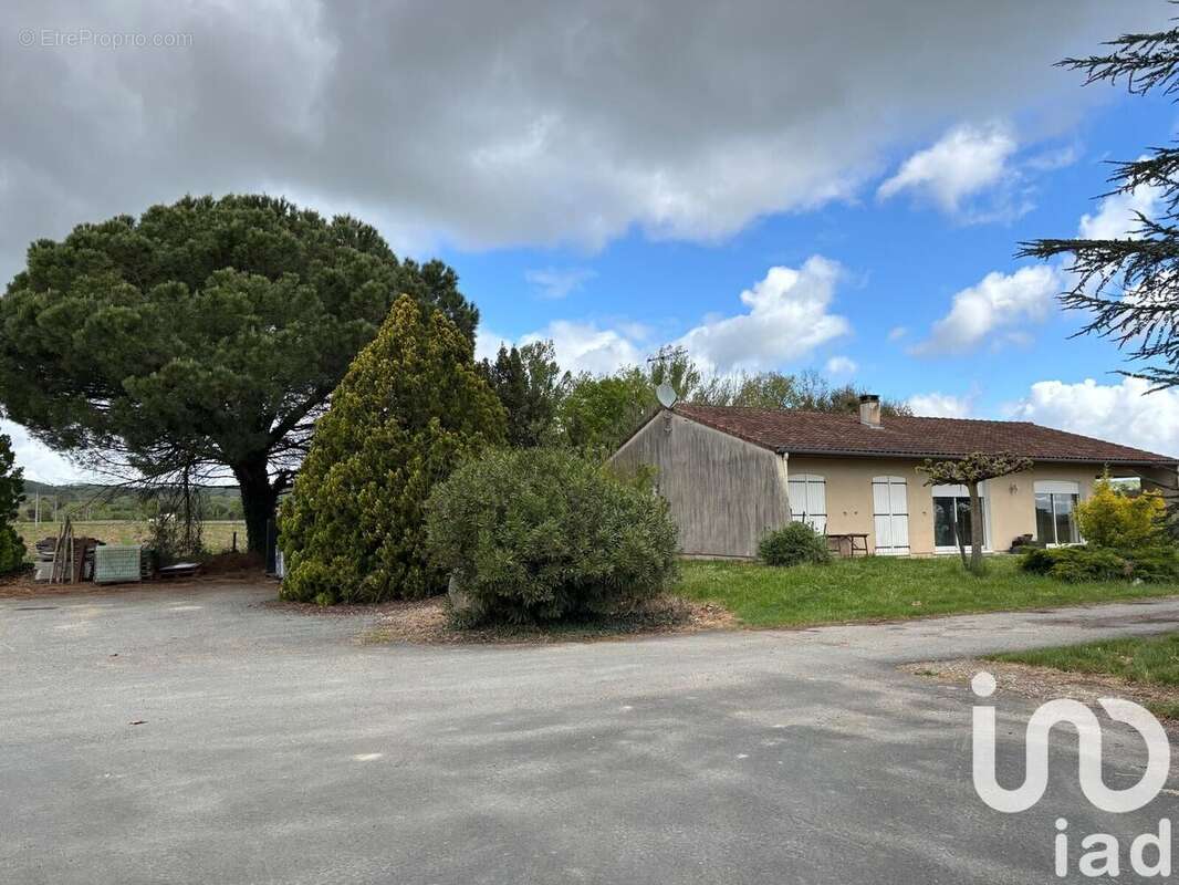 Photo 3 - Maison à LISLE-SUR-TARN