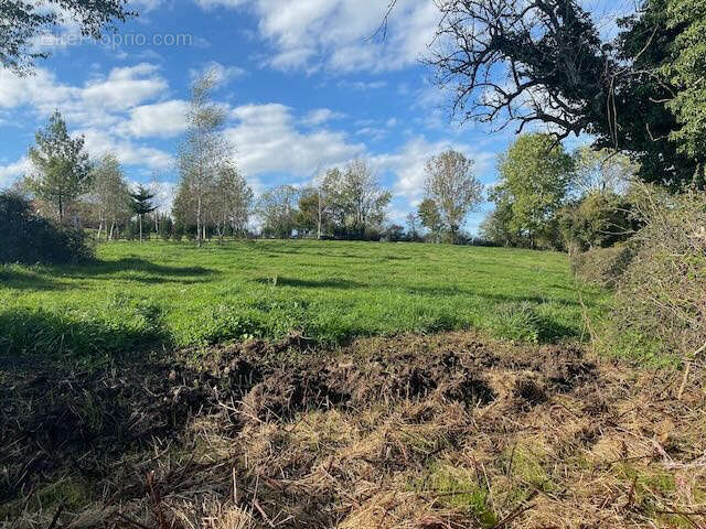 Terrain à SAINT-BONNET-DE-CRAY