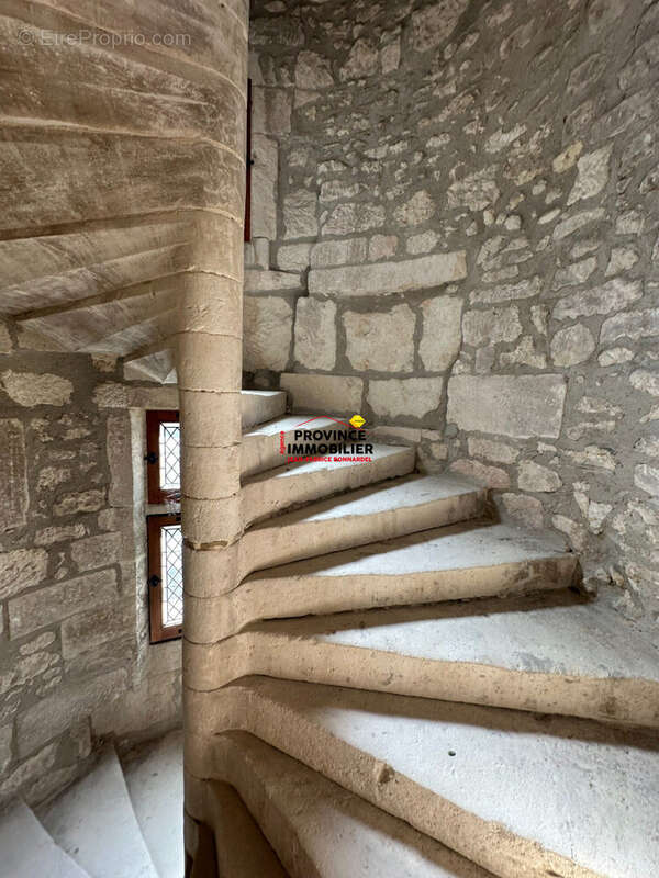 Maison 412 m² à Saint-Restitut  - photo 7