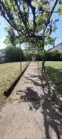 Maison 120 m² à Saint-Pantaleon-De-Larche  - photo 298