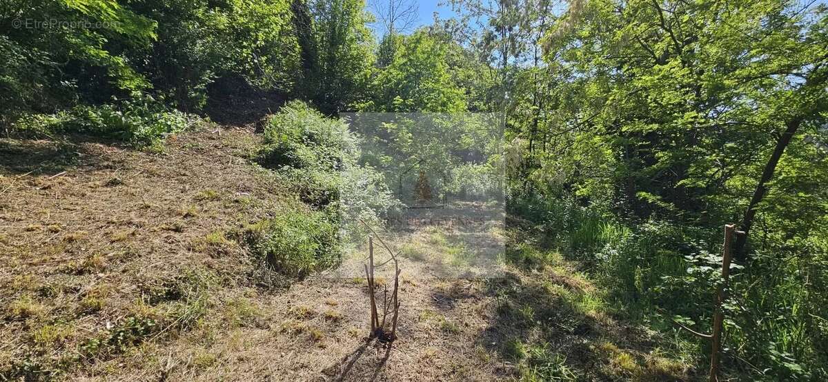 Terrain à LE COLLET-DE-DEZE