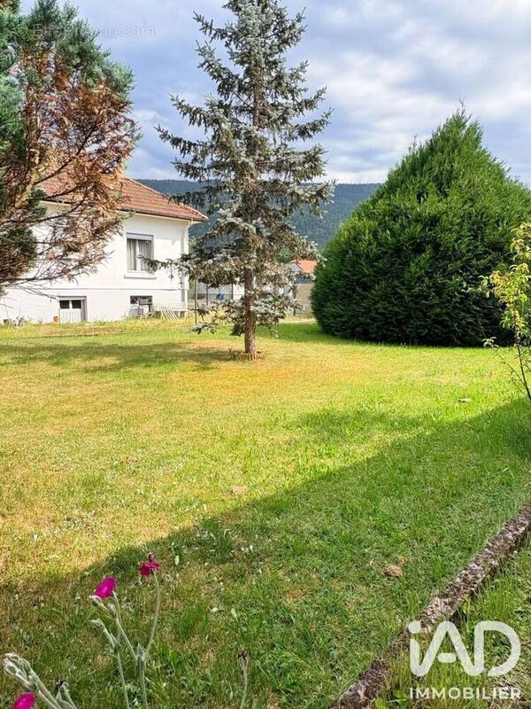 Photo 1 - Maison à SAULXURES-SUR-MOSELOTTE