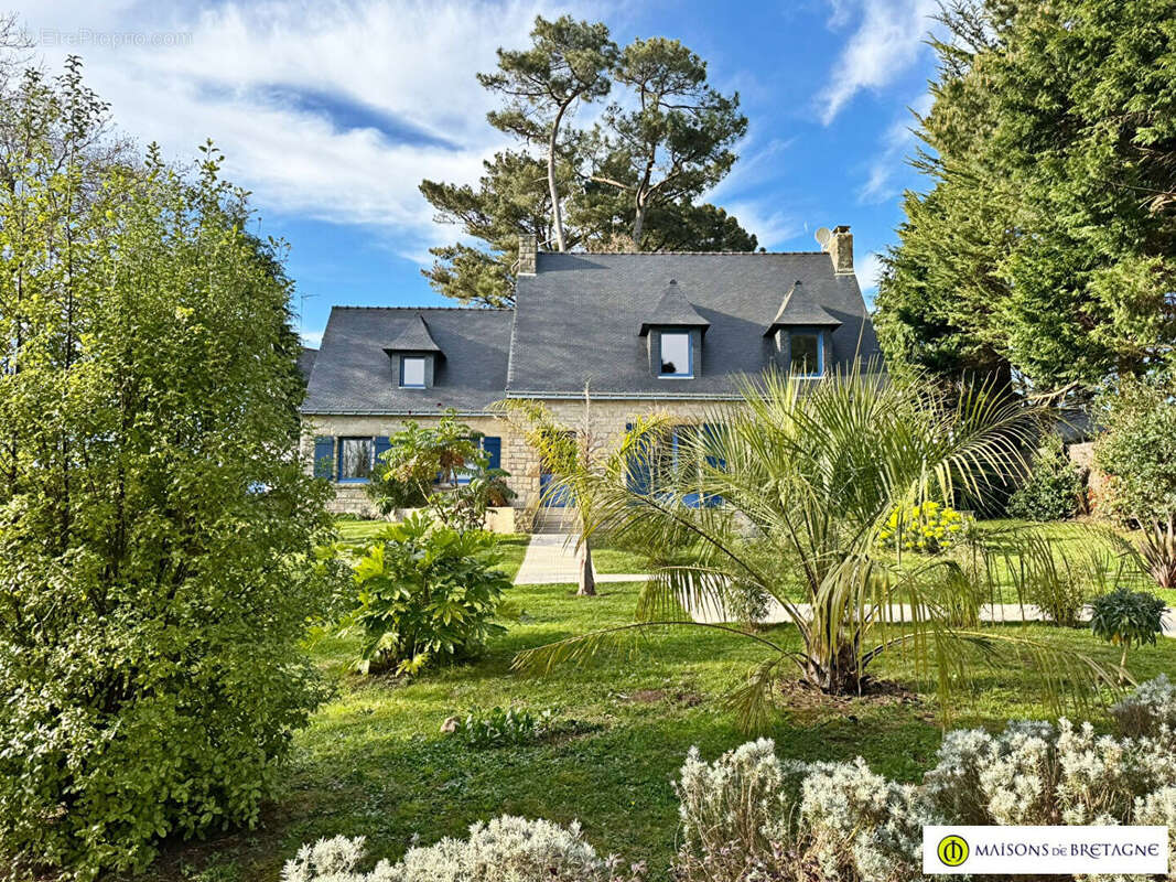 Maison à MOELAN-SUR-MER