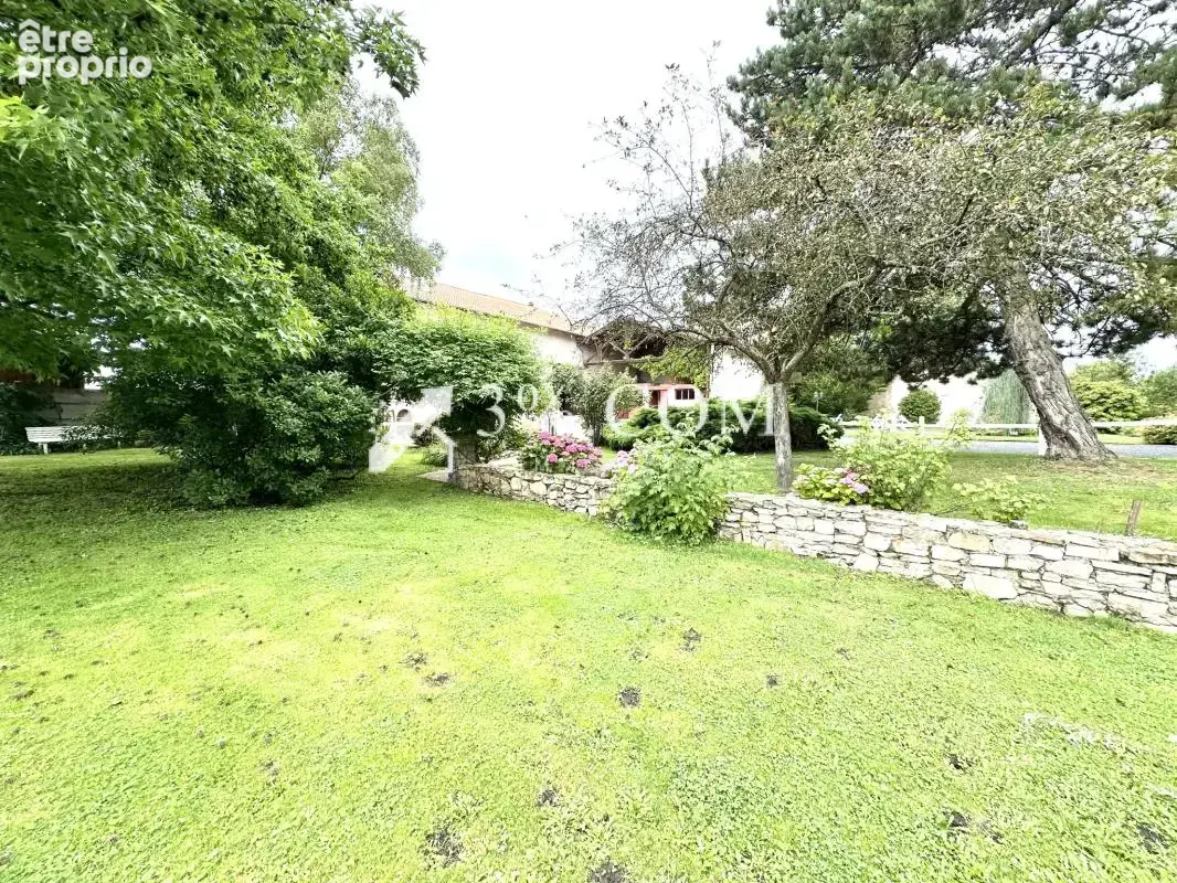 Maison de village 300 m2 - terrain 8.5 hectares - box pour c - photo 4