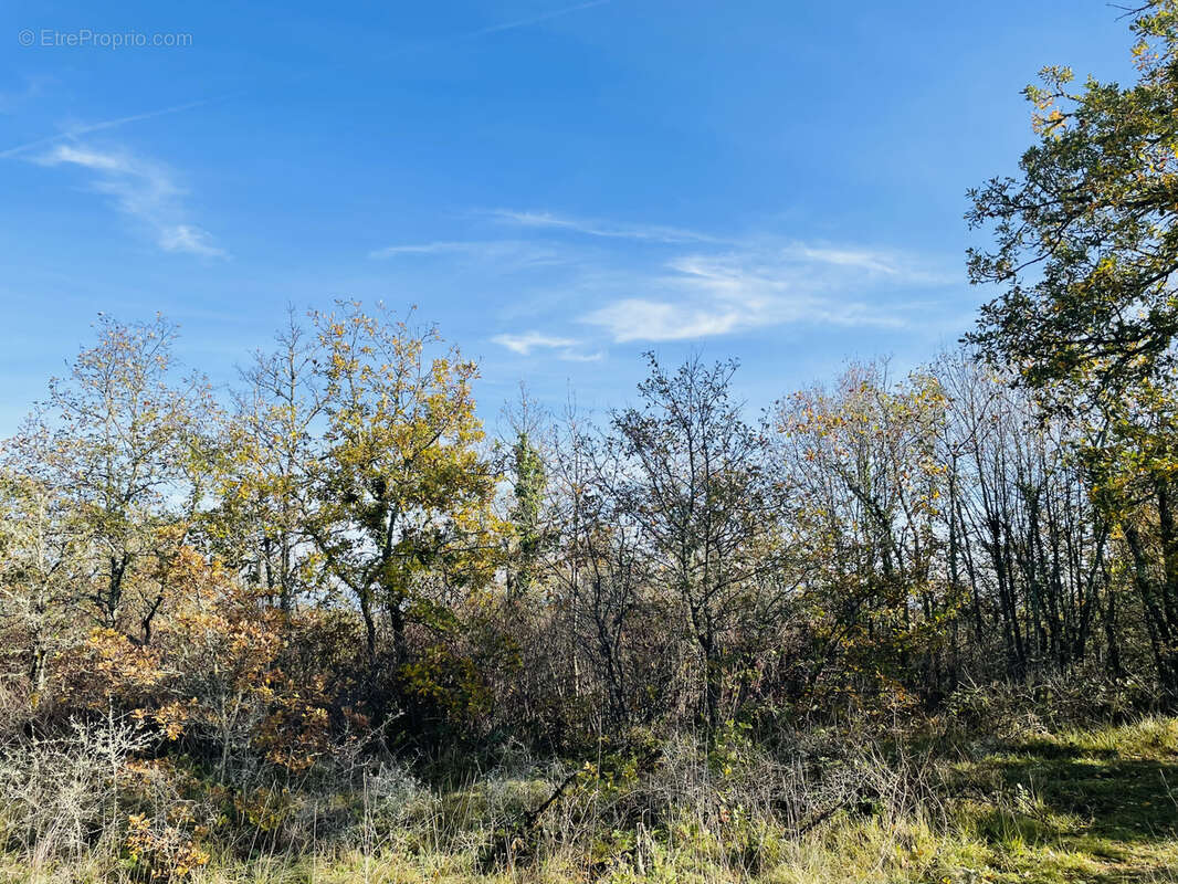 Terrain à SAINT-CERNIN-DE-LARCHE