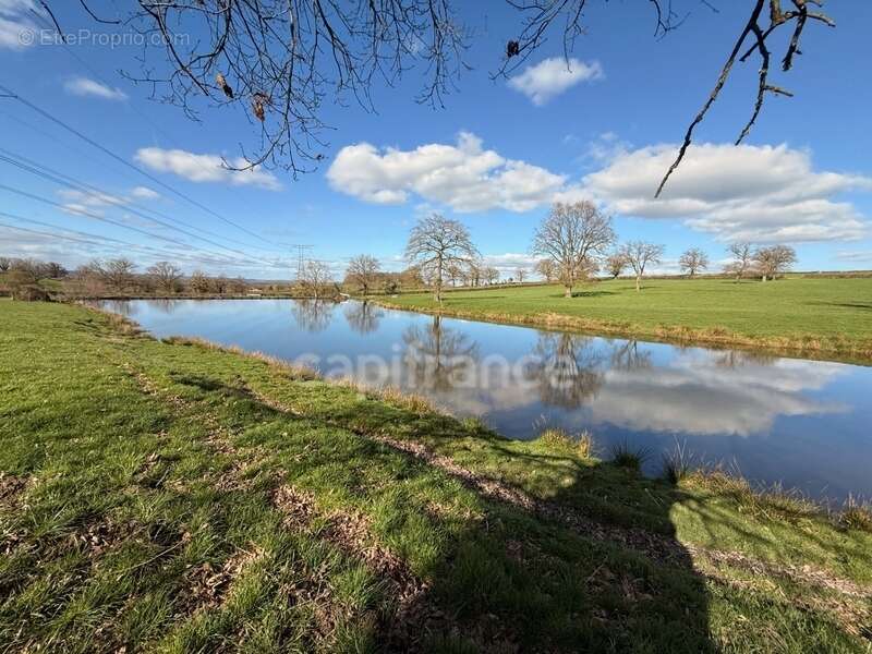 Terrain à SAINT-LAURENT-D'ANDENAY