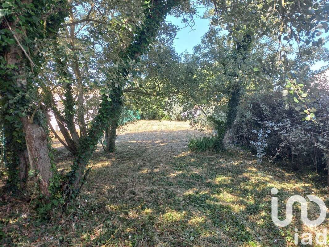 Photo 5 - Terrain à SAINT-GEORGES-D'OLERON