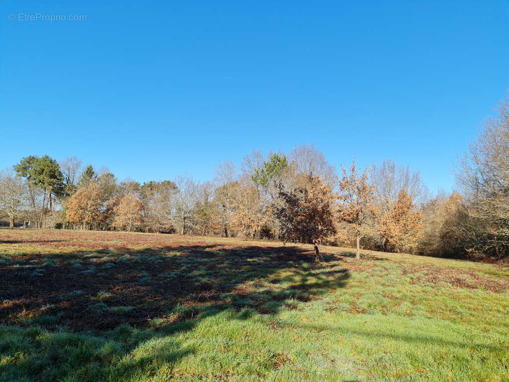 24400 entre Mussidan et Montpon  Terrain  de 11408 m² dont  constructible 4000m ² - photo 4