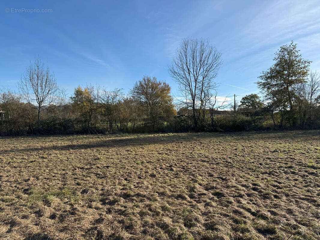 Terrain à ORLEAT