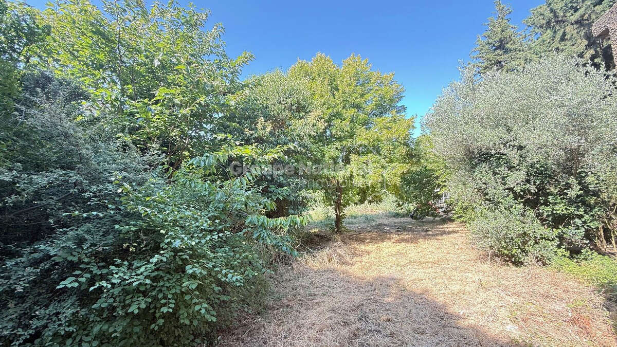 Exclusivité - Mas à restaurer - Le charme de la Provence - photo 5