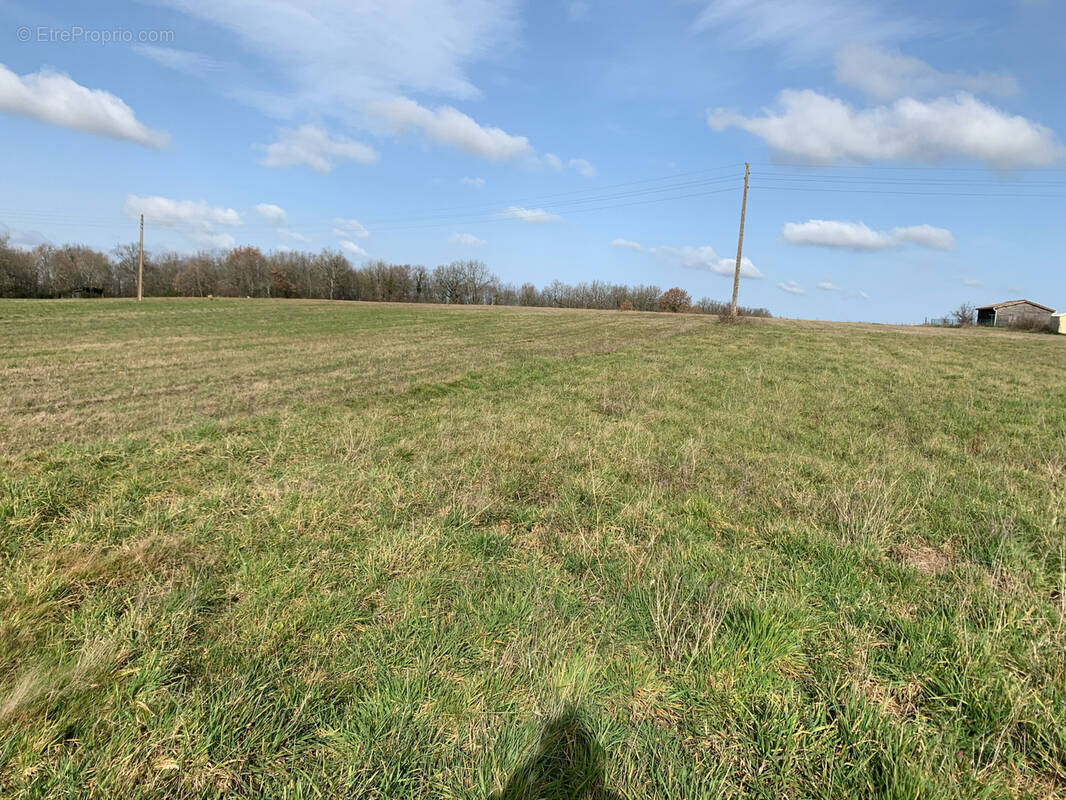 Terrain à BEAUMONT-DE-LOMAGNE