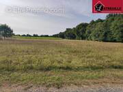 Terrain à MAZEROLLES