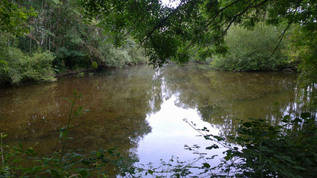 Terrain à COULANGES