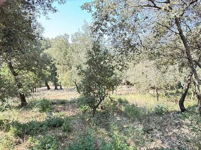 Terrain Ste Anastasie sur Issole 950m² - photo 4