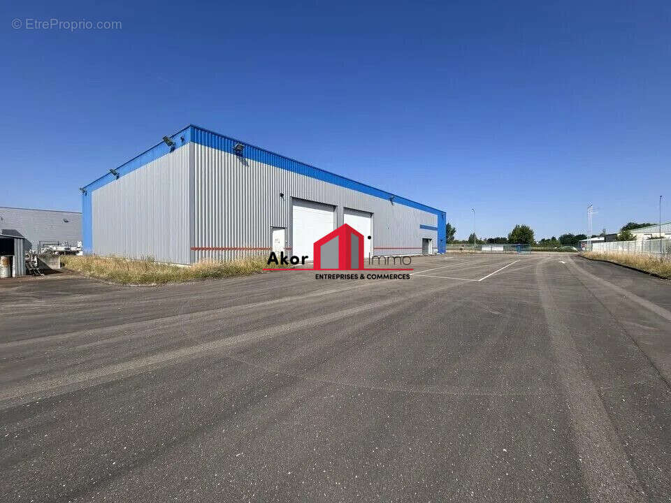 Commerce 982 m² à Moneteau  - photo 3